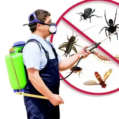 pest control Wildwood